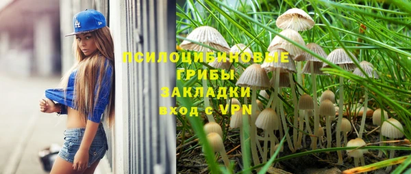 бутират Верея