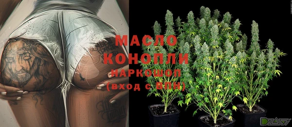 стаф Бородино