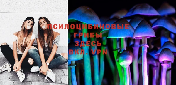 стаф Бородино