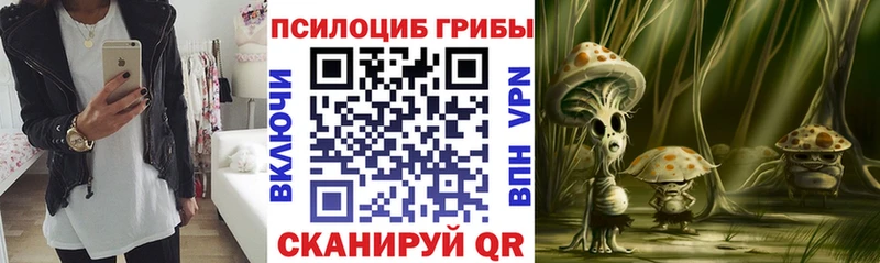 Псилоцибиновые грибы ЛСД Прокопьевск